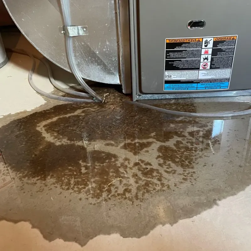Pipe Burst and Leak Restoration in Jan-Phyl Village, FL