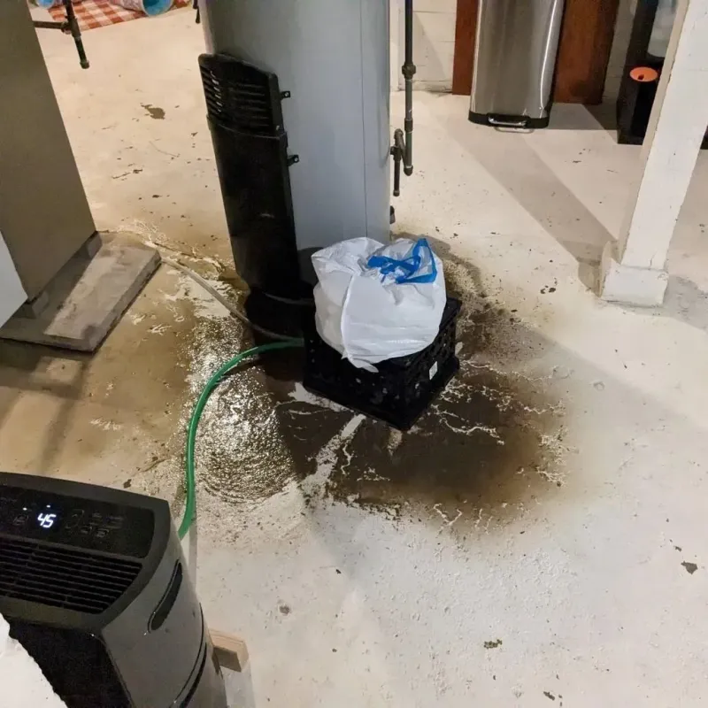 Sewage Backup Cleanup Service in Jan-Phyl Village, FL